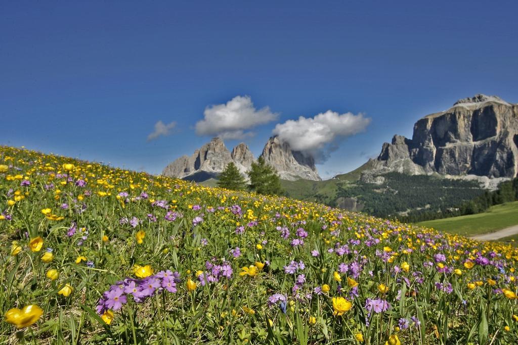 Hotel Crepes De Sela Campitello di Fassa Esterno foto